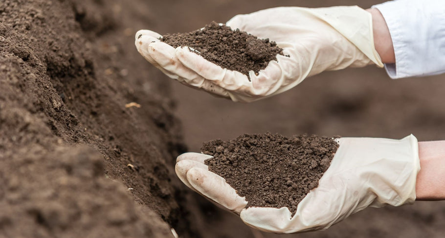 Soil Contamination FAQ's