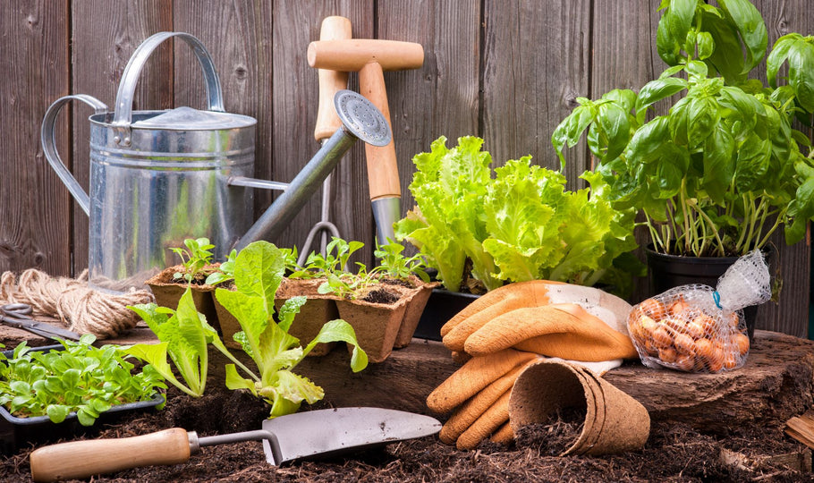 Why Gardeners Should Test Their Soil