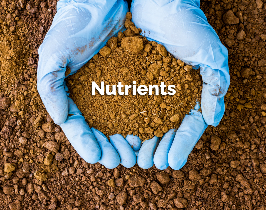 Nutrient Soil Test Kit
